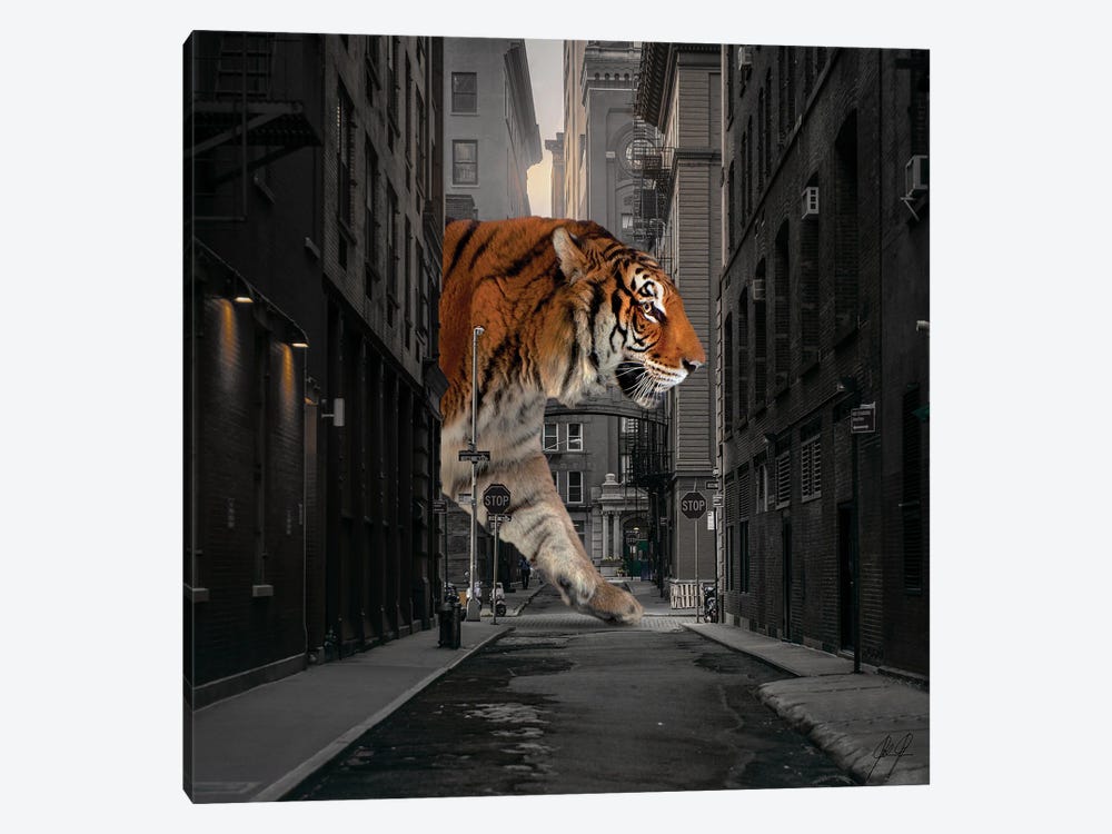 Tiger In NY I by Kathrin Federer 1-piece Canvas Wall Art