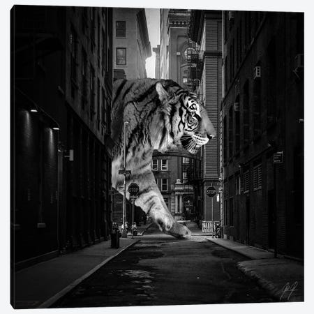 Tiger In NY II Canvas Print #KFD124} by Kathrin Federer Art Print