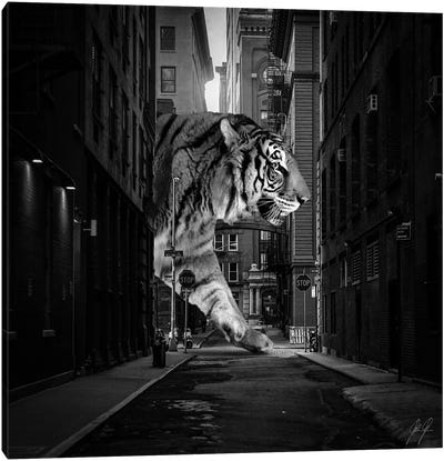 Tiger In NY II Canvas Art Print - Black & White Cityscapes
