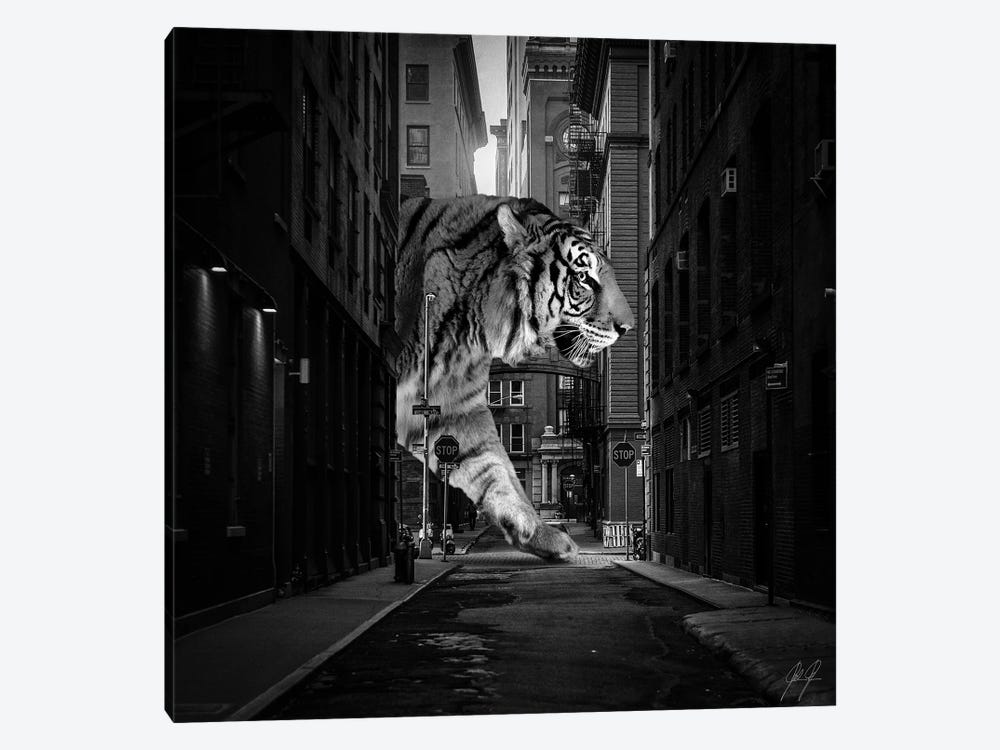 Tiger In NY II by Kathrin Federer 1-piece Art Print
