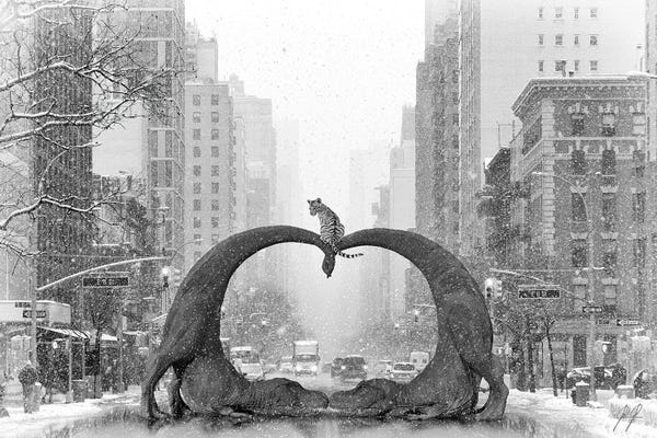 Large Photography - Canvas Prints: We Are Family IV by Kathrin Federer