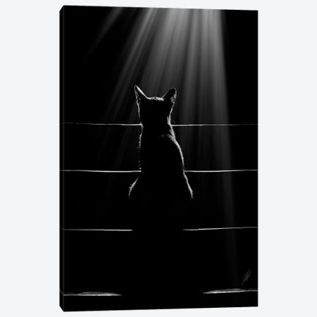 Cat Language Canvas Print #KFD136} by Kathrin Federer Canvas Wall Art