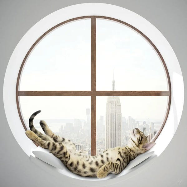 Composite Photography: Chilling by Kathrin Federer