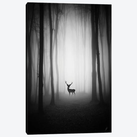 Encounter in the Forest Canvas Print #KFD140} by Kathrin Federer Canvas Artwork