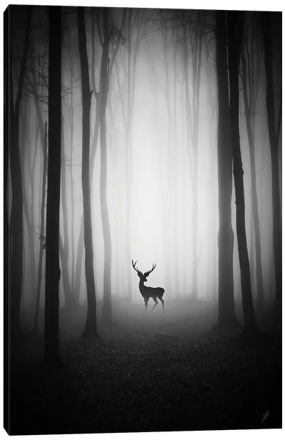 Encounter in the Forest Canvas Art Print - Kathrin Federer