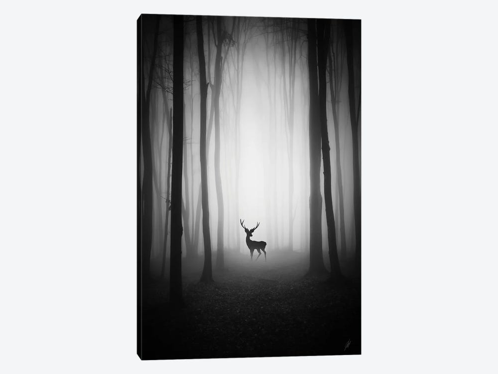 Encounter in the Forest by Kathrin Federer 1-piece Canvas Print