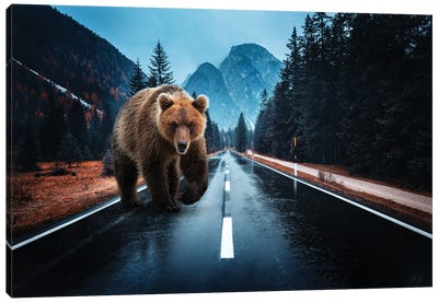 Lost Kamchatka Brown Bear in the Dolomites Canvas Art Print - Reclaimed by Nature