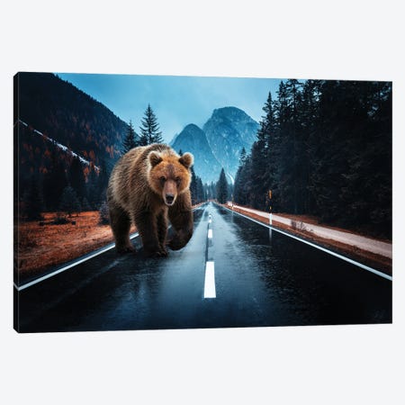 Lost Kamchatka Brown Bear in the Dolomites Canvas Print #KFD143} by Kathrin Federer Canvas Art