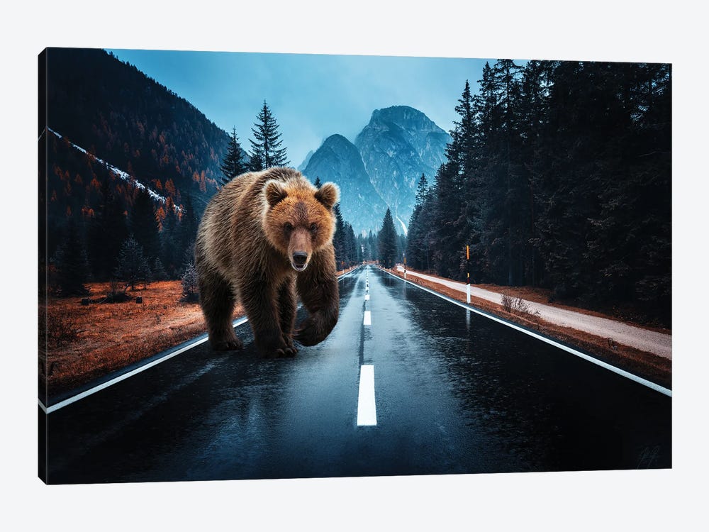 Lost Kamchatka Brown Bear in the Dolomites by Kathrin Federer 1-piece Canvas Wall Art