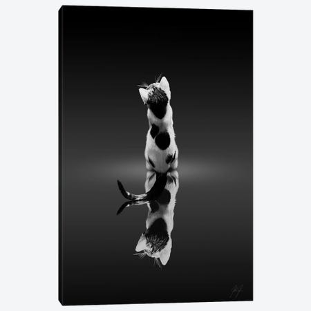 Mirroring Cat Canvas Print #KFD145} by Kathrin Federer Art Print