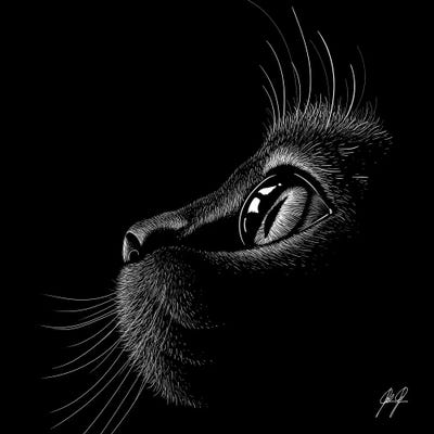 Little Cutie by Kathrin Federer framed wall art