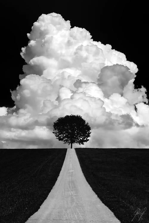 Double Tree