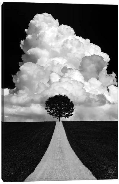 Double Tree Canvas Art Print - Composite Photography