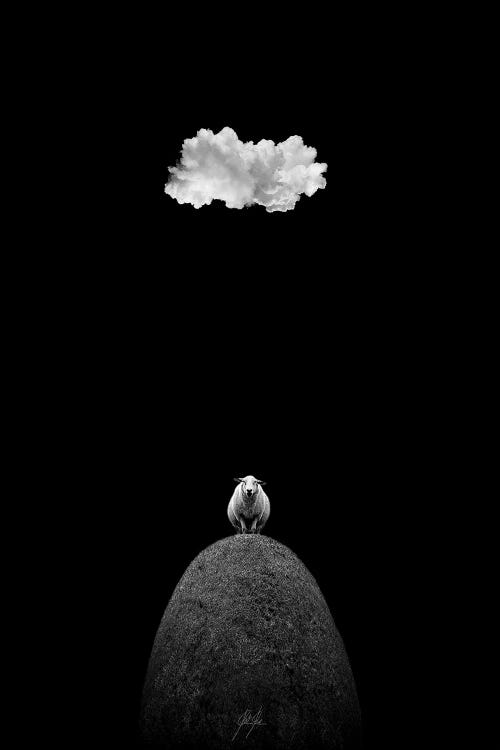 Illuminated Sheep II by Kathrin Federer wall art