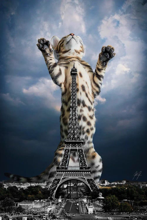 Paris mon Amour by Kathrin Federer wall art