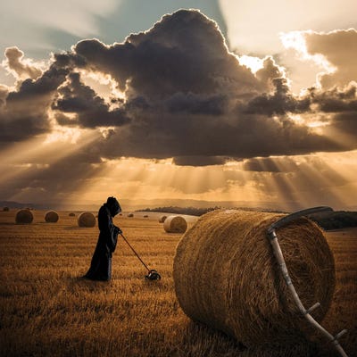 The Grim Reapers Side Job by Kathrin Federer canvas print