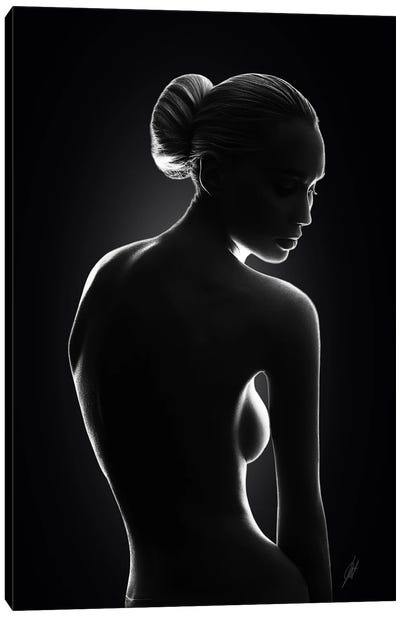 Sensual Touch Of Light Canvas Art Print - Kathrin Federer