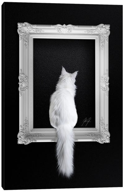 Cat In Frame Canvas Art Print - Kathrin Federer