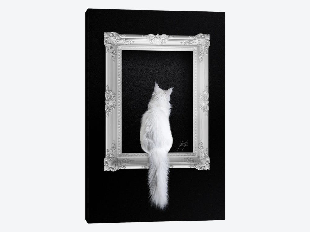 Cat In Frame by Kathrin Federer 1-piece Art Print