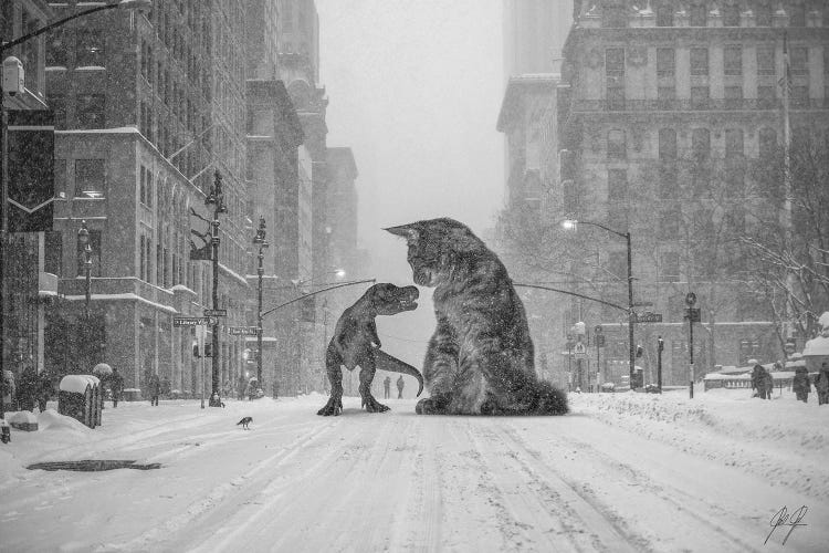 Flirting (B/W) by Kathrin Federer wall art