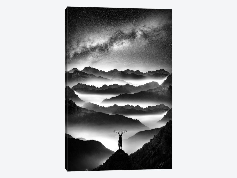 King View (B/W) by Kathrin Federer 1-piece Canvas Print