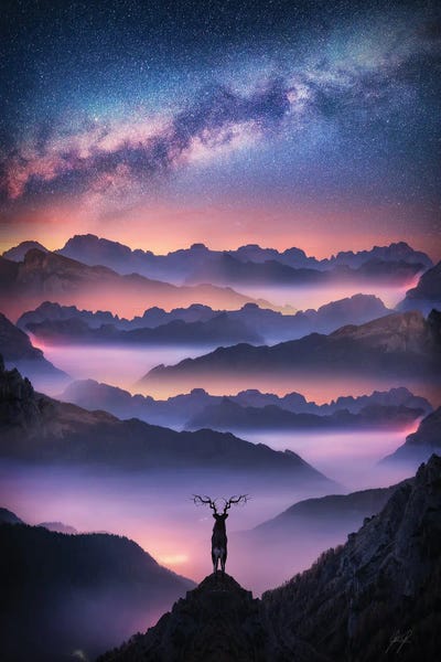 King View by Kathrin Federer framed canvas print