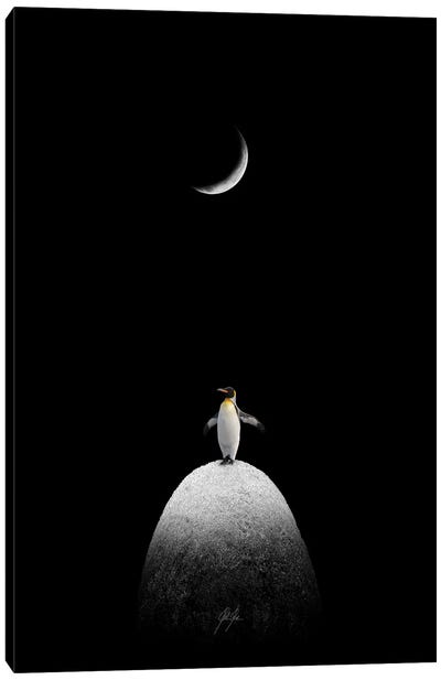 The Majestic Penguin Canvas Art Print - Kathrin Federer