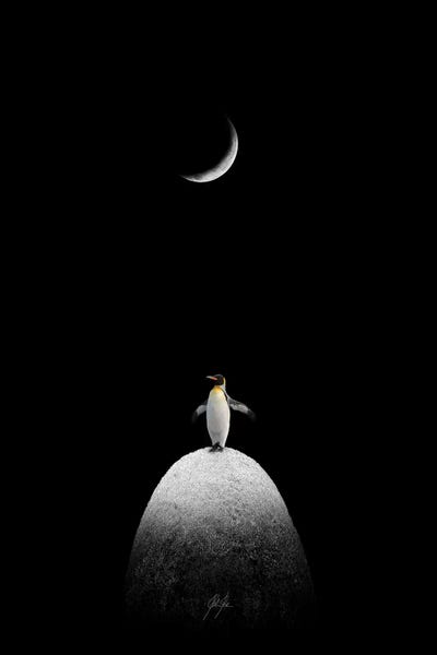 Penguins: The Majestic Penguin by Kathrin Federer