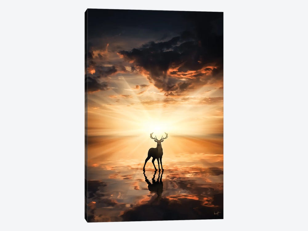 Caught In The Sun by Kathrin Federer 1-piece Canvas Art