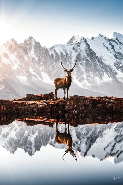 Snowy Mountains: In The Mountains by Kathrin Federer