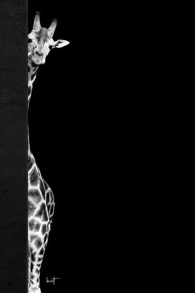 Giraffes: Hi! by Kathrin Federer