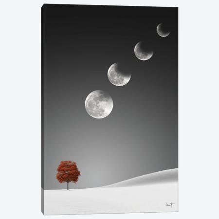 Lunar Eclipse Canvas Print #KFD179} by Kathrin Federer Canvas Art Print