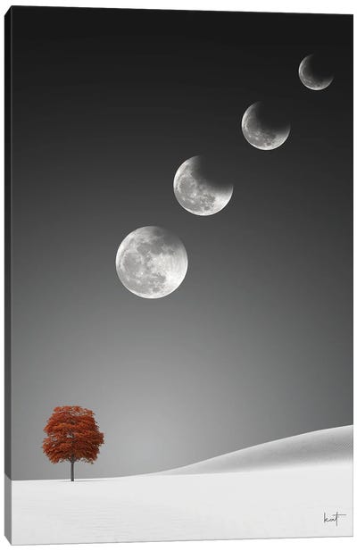 Lunar Eclipse Canvas Art Print - Crescent Moon Art