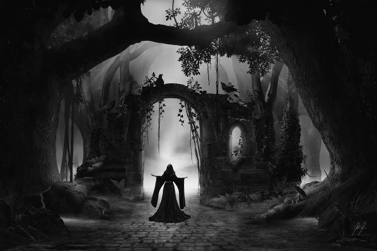 Fairy Portal by Kathrin Federer wall art