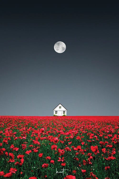 Nestled In A Blossom by Kathrin Federer wall art