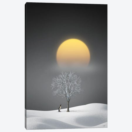 Salutations Of The Midwinter Moon Canvas Print #KFD183} by Kathrin Federer Canvas Art
