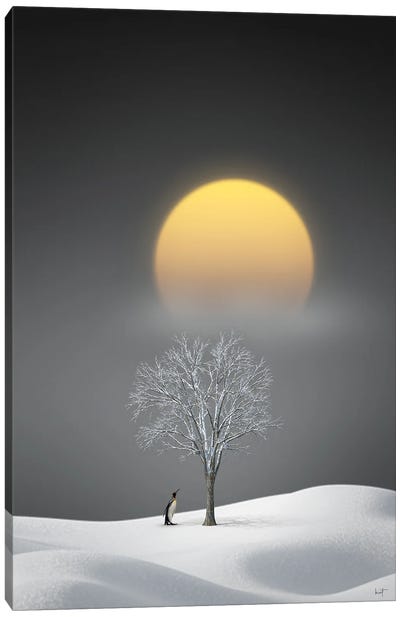 Salutations Of The Midwinter Moon Canvas Art Print - Kathrin Federer