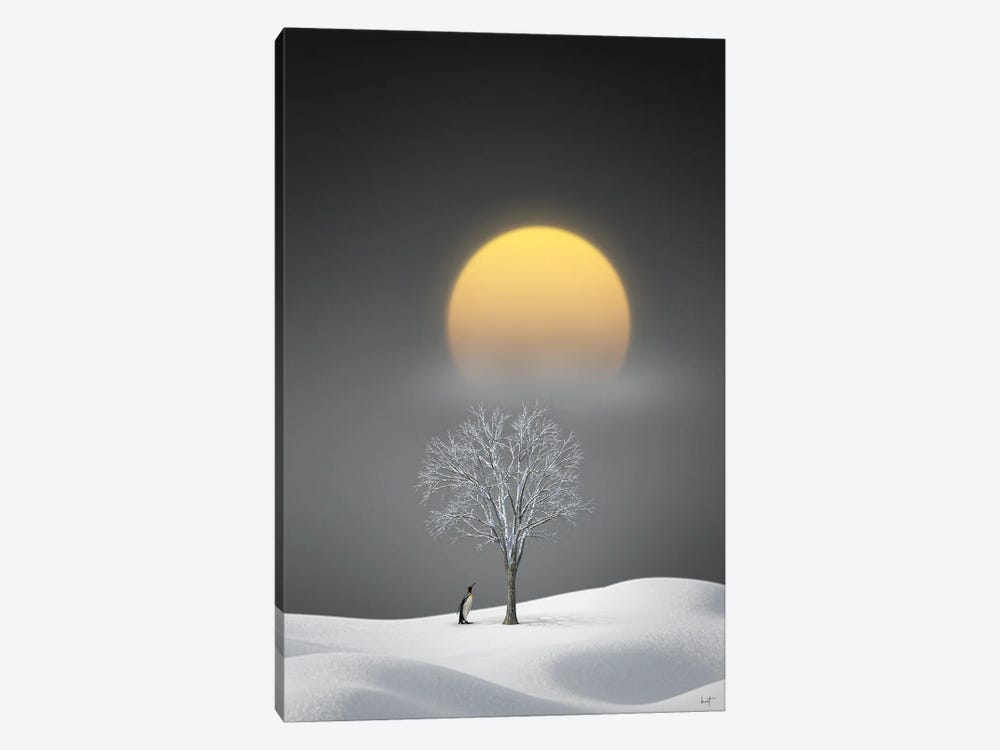 Salutations Of The Midwinter Moon by Kathrin Federer 1-piece Canvas Wall Art