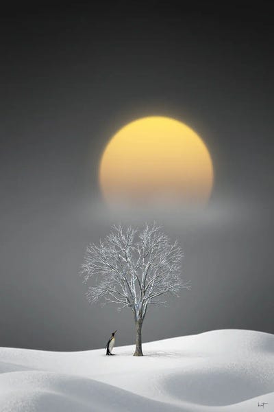 Hillsides: Salutations Of The Midwinter Moon by Kathrin Federer