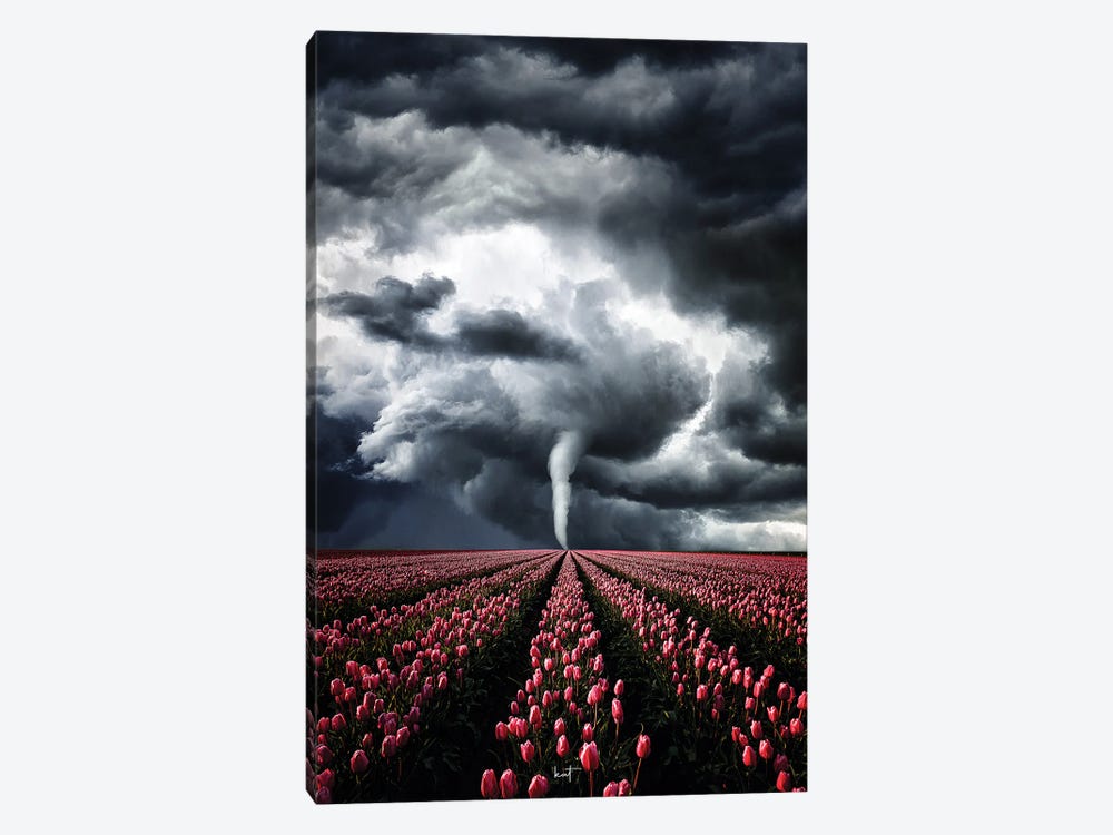 Tulips Braving The Storm by Kathrin Federer 1-piece Canvas Wall Art