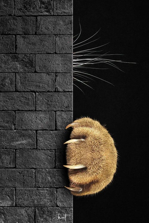 Shyness Vs. Curiosity by Kathrin Federer wall art