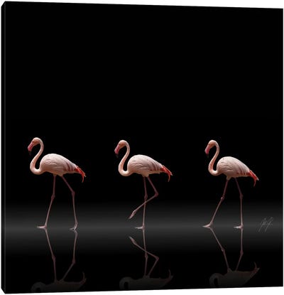 Flamingo Parade Canvas Art Print - Flamingo Art
