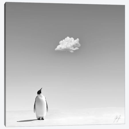 A Cooling In The Scorching Heat Canvas Print #KFD1} by Kathrin Federer Canvas Artwork