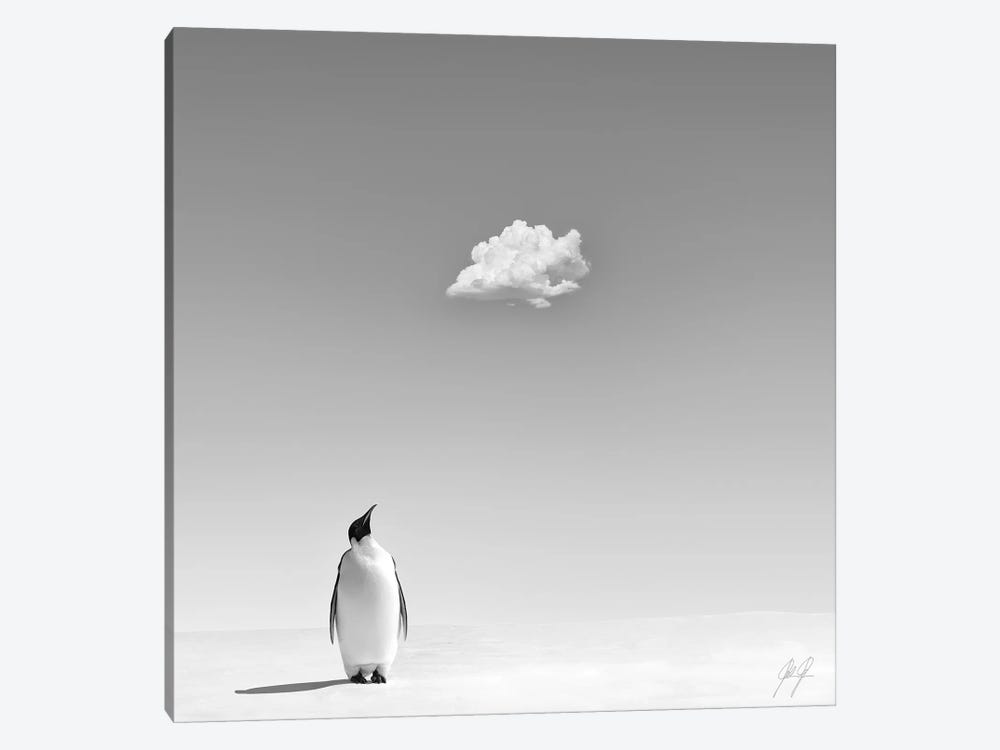 A Cooling In The Scorching Heat 1-piece Canvas Print