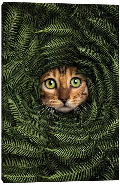 Cat In Fern Canvas Art Print - Fern Art