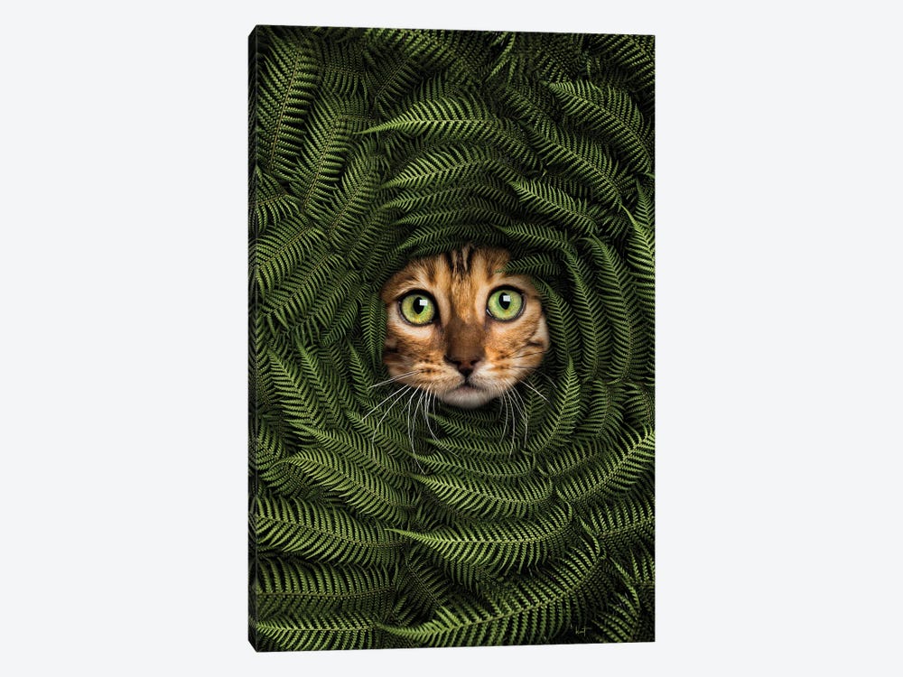 Cat In Fern by Kathrin Federer 1-piece Canvas Artwork