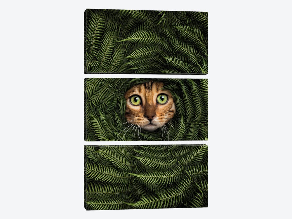 Cat In Fern by Kathrin Federer 3-piece Canvas Artwork