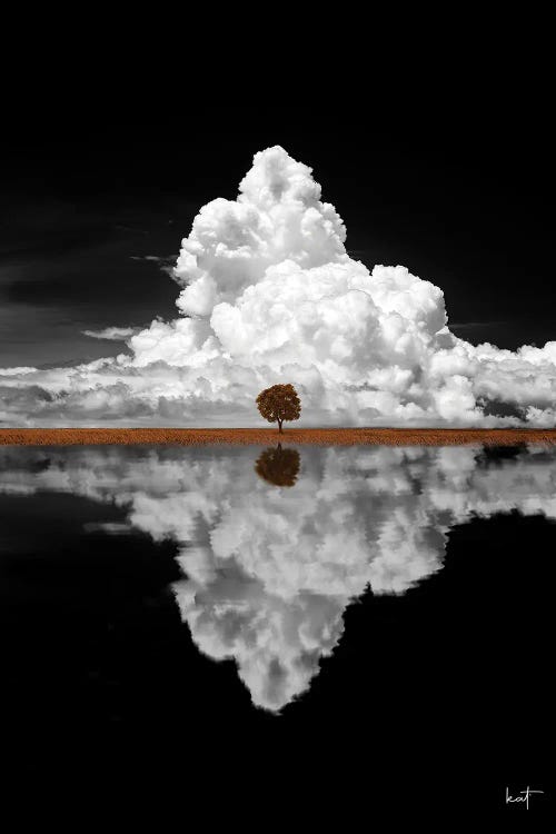 Maple Tree by Kathrin Federer wall art