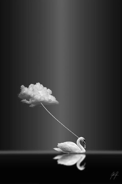 Minimalist Photography: Follow Me by Kathrin Federer