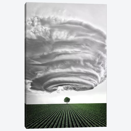 Soft Ice Cloud From Heaven Canvas Print #KFD210} by Kathrin Federer Canvas Artwork